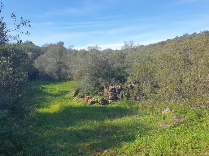 Terreno para Venda em São Silvestre Foto 10