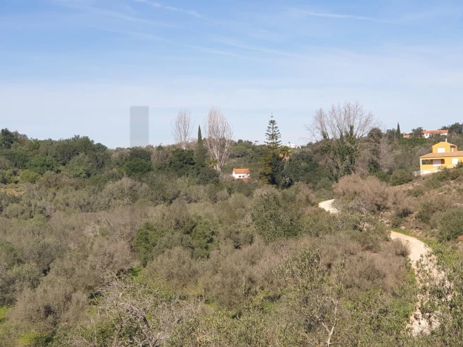 Terreno para Venda em São Silvestre Foto 9