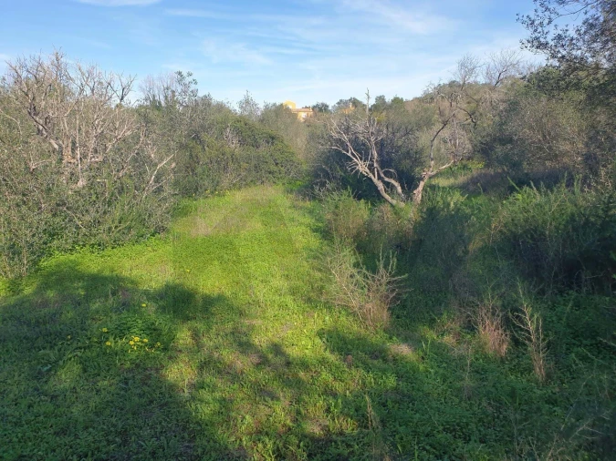 Terreno para Venda em São Silvestre Foto 17