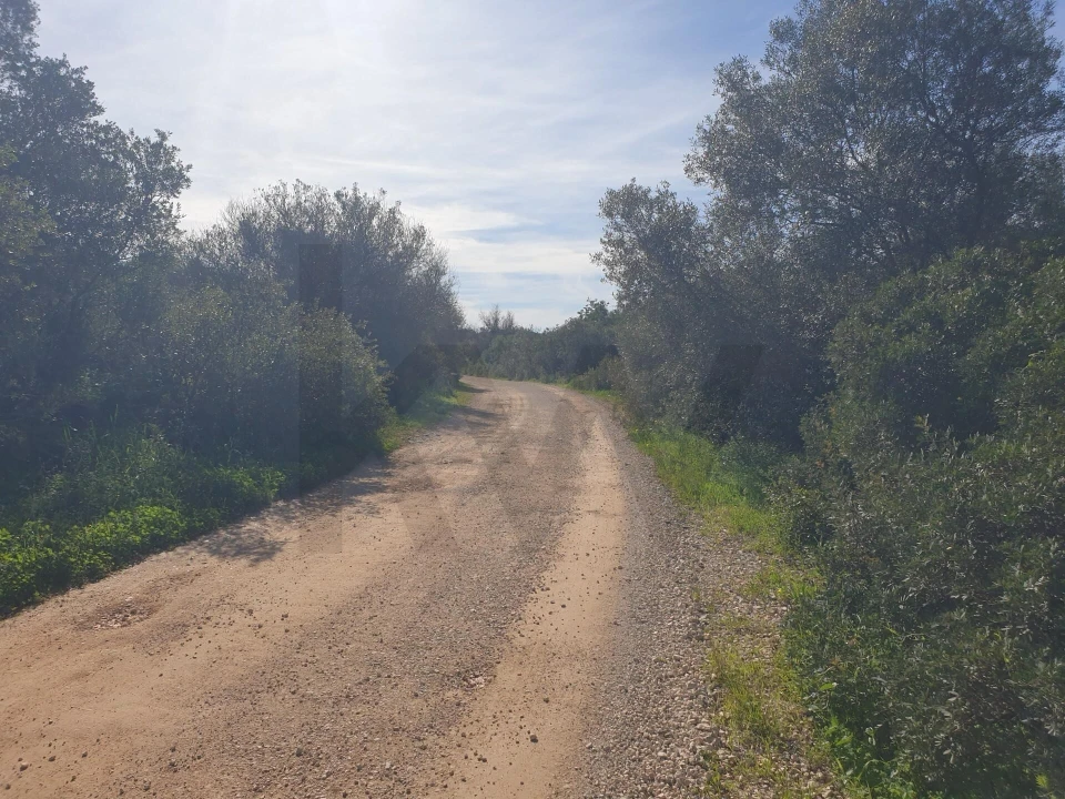 Terreno para Venda em São Silvestre Foto 7