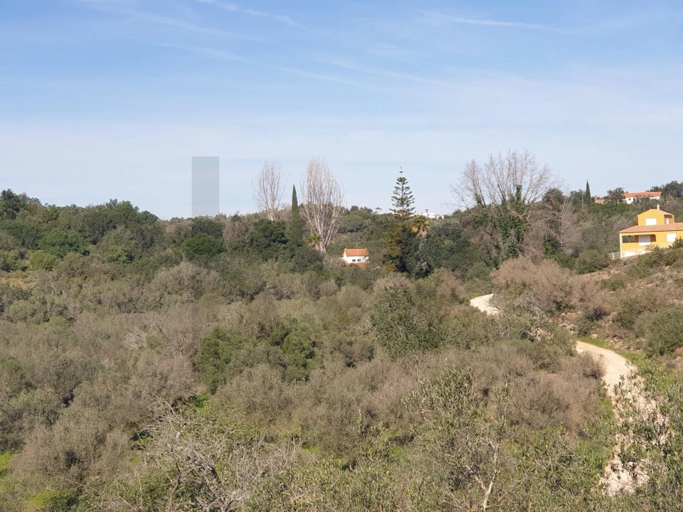 Terreno para Venda em São Silvestre Foto 9