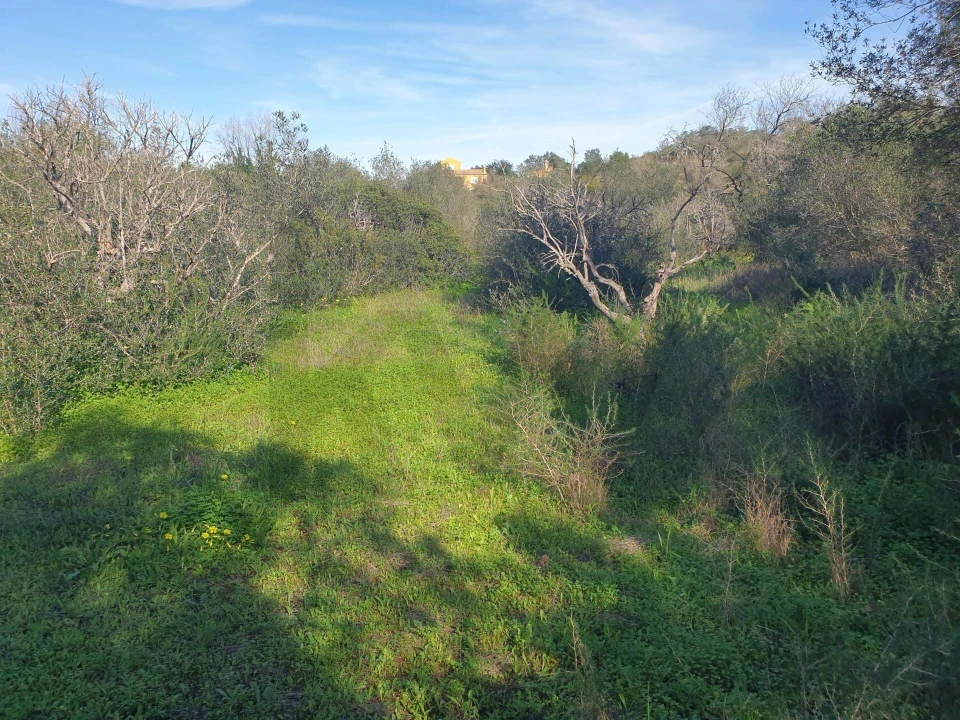 Terreno para Venda em São Silvestre Foto 17