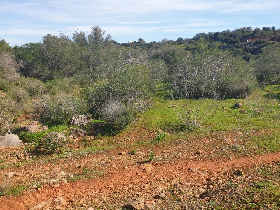 Terreno para Venda em São Silvestre Foto 18