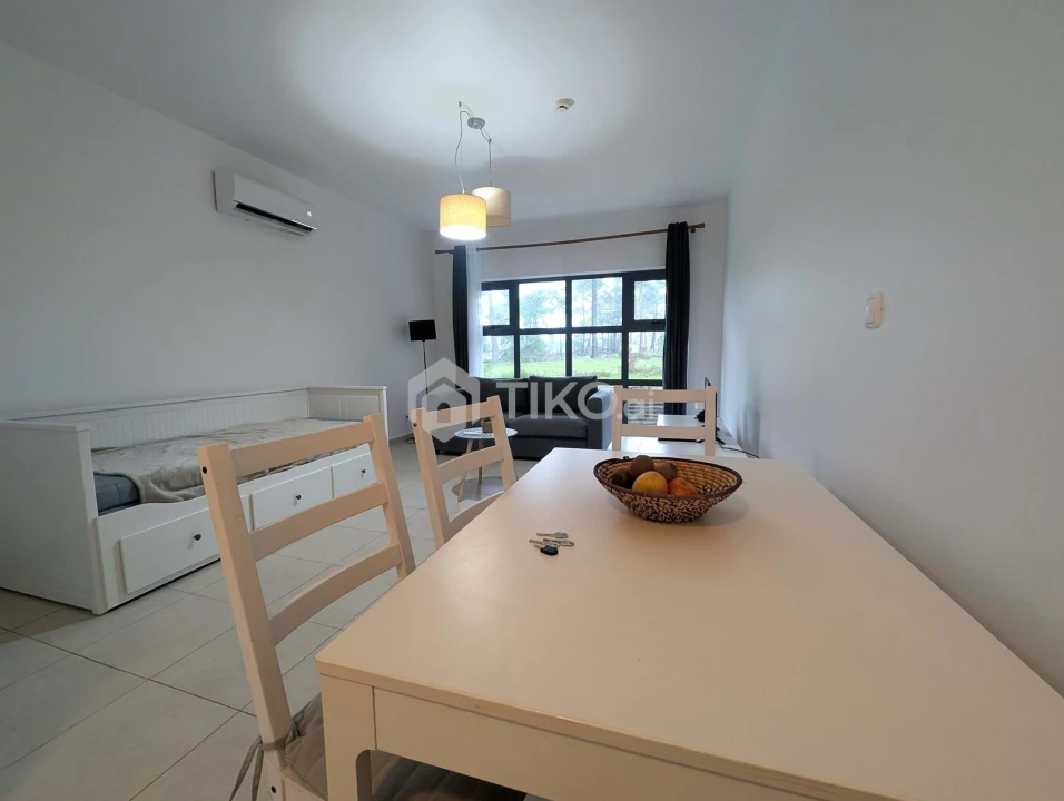 Apartamento T1 para Arrendamento em Quinta do Anjo Foto 15