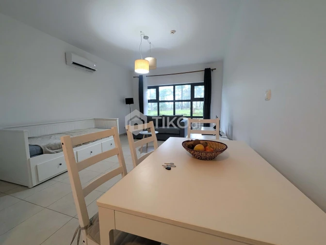 Apartamento T1 para Arrendamento em Quinta do Anjo Foto 15