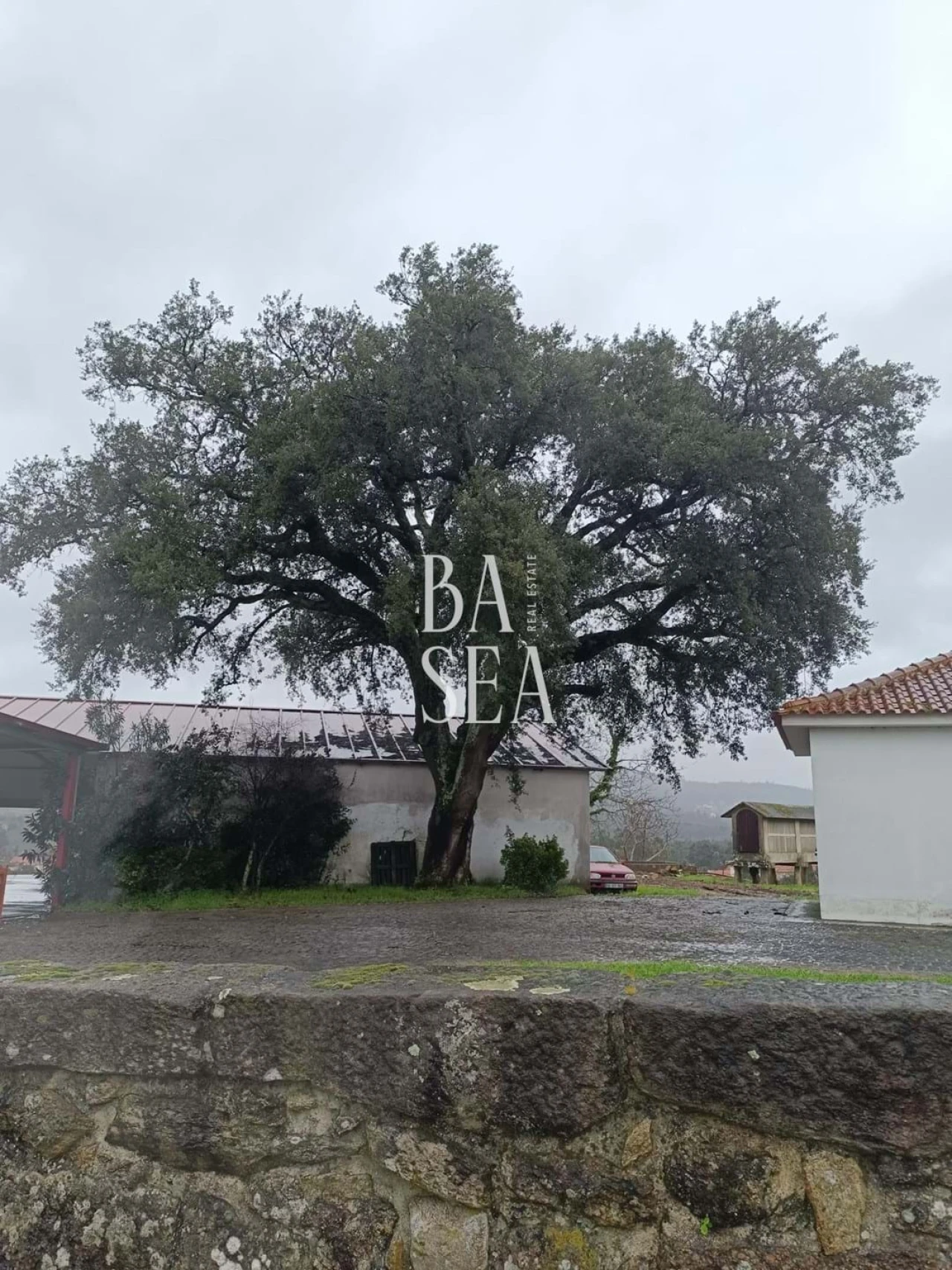 Quinta T10 para Venda em Barbeita Foto 52