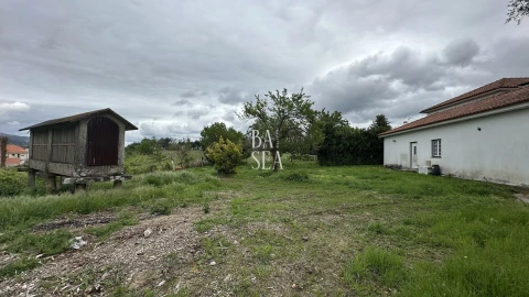 Quinta T10 para Venda em Barbeita