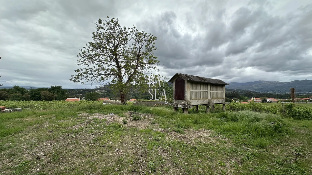 Quinta T10 para Venda em Barbeita Foto 55