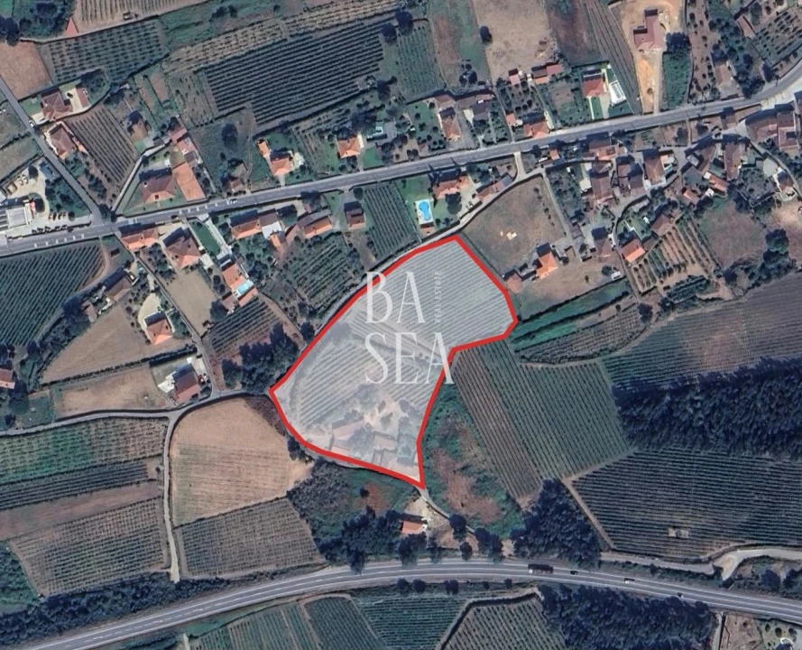 Quinta T10 para Venda em Barbeita Foto 3