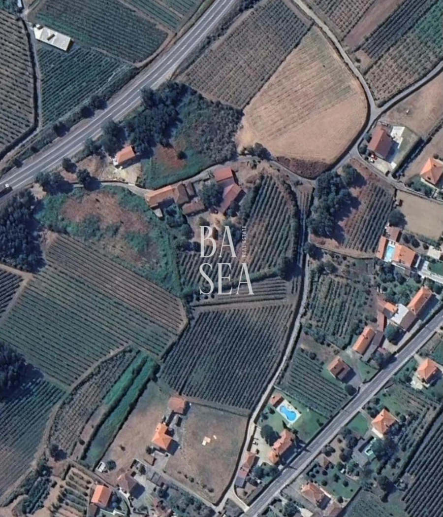 Quinta T10 para Venda em Barbeita Foto 12