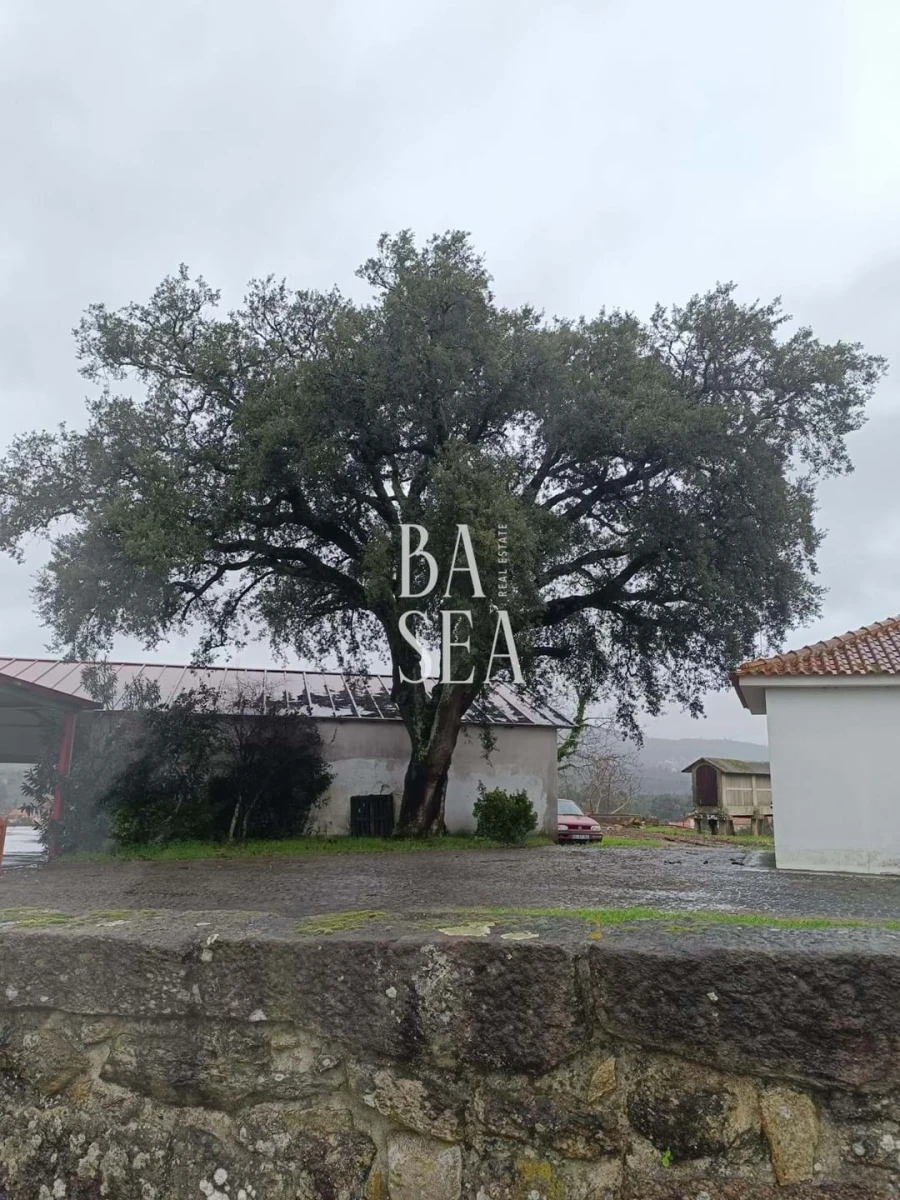 Quinta T10 para Venda em Barbeita Foto 52