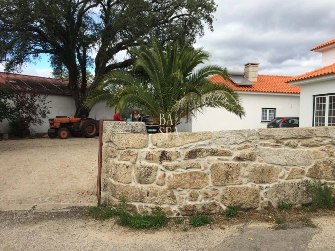 Quinta T10 para Venda em Barbeita Foto 1