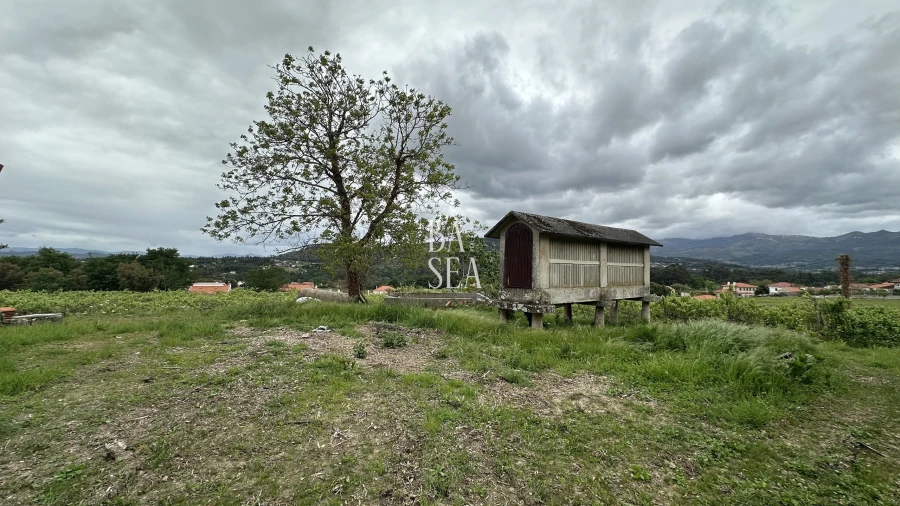 Quinta T10 para Venda em Barbeita Foto 55