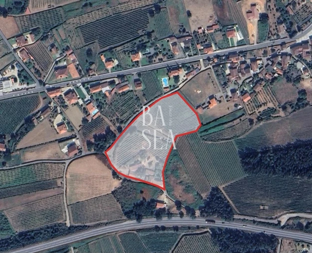 Quinta T10 para Venda em Barbeita Foto 3