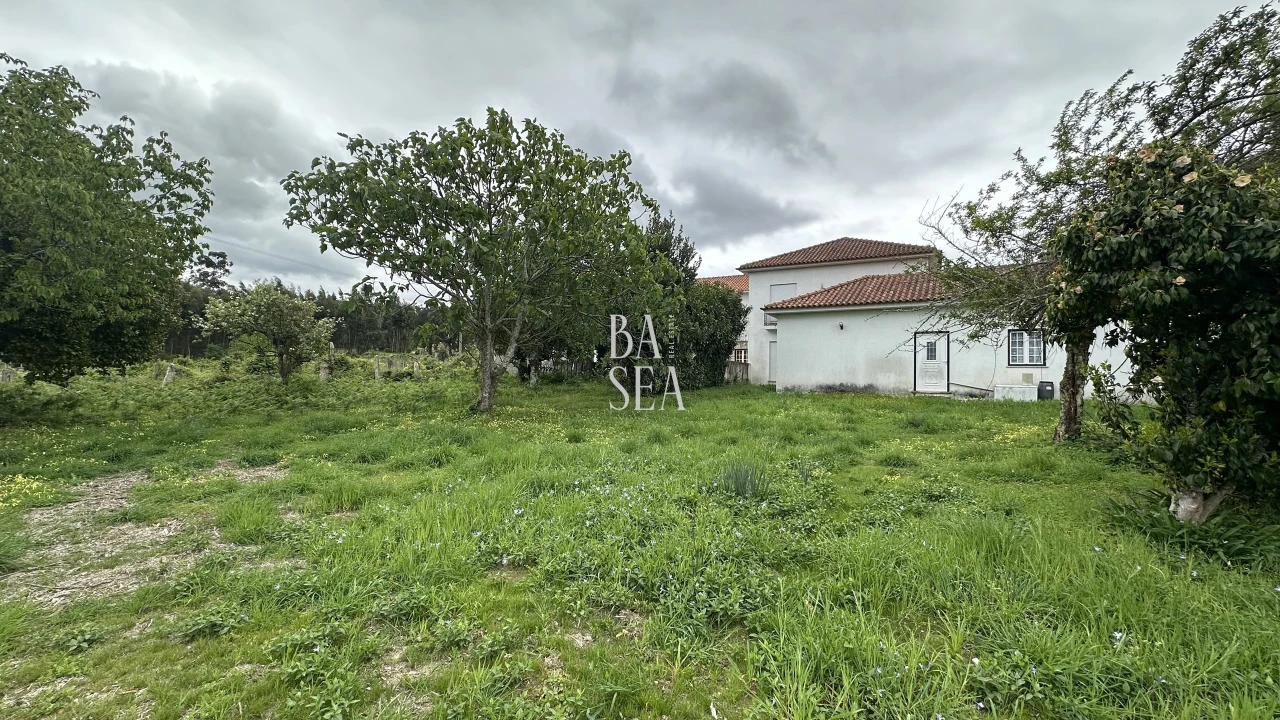 Quinta T10 para Venda em Barbeita Foto 57