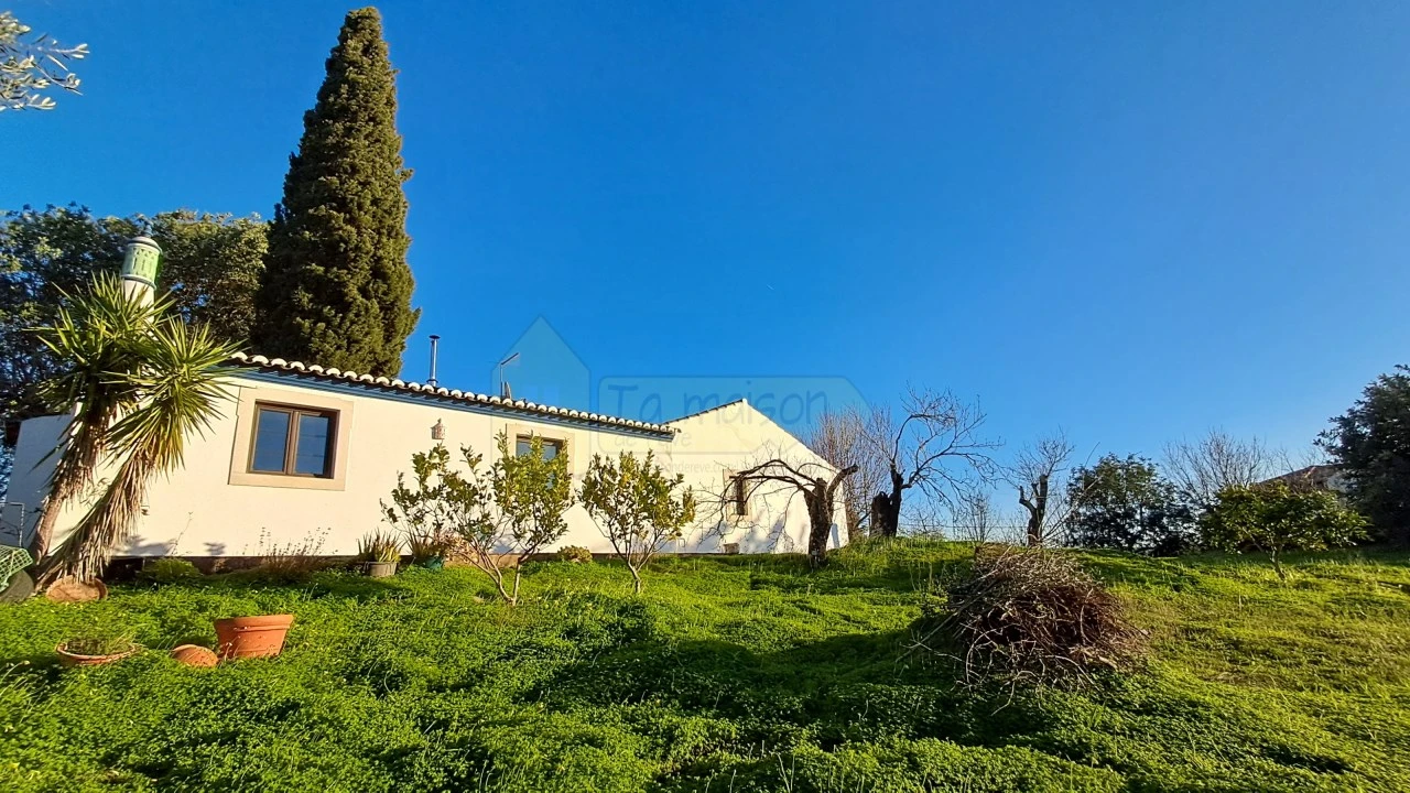 Moradia T2 para Venda em Querença, Tôr e Benafim Foto 4