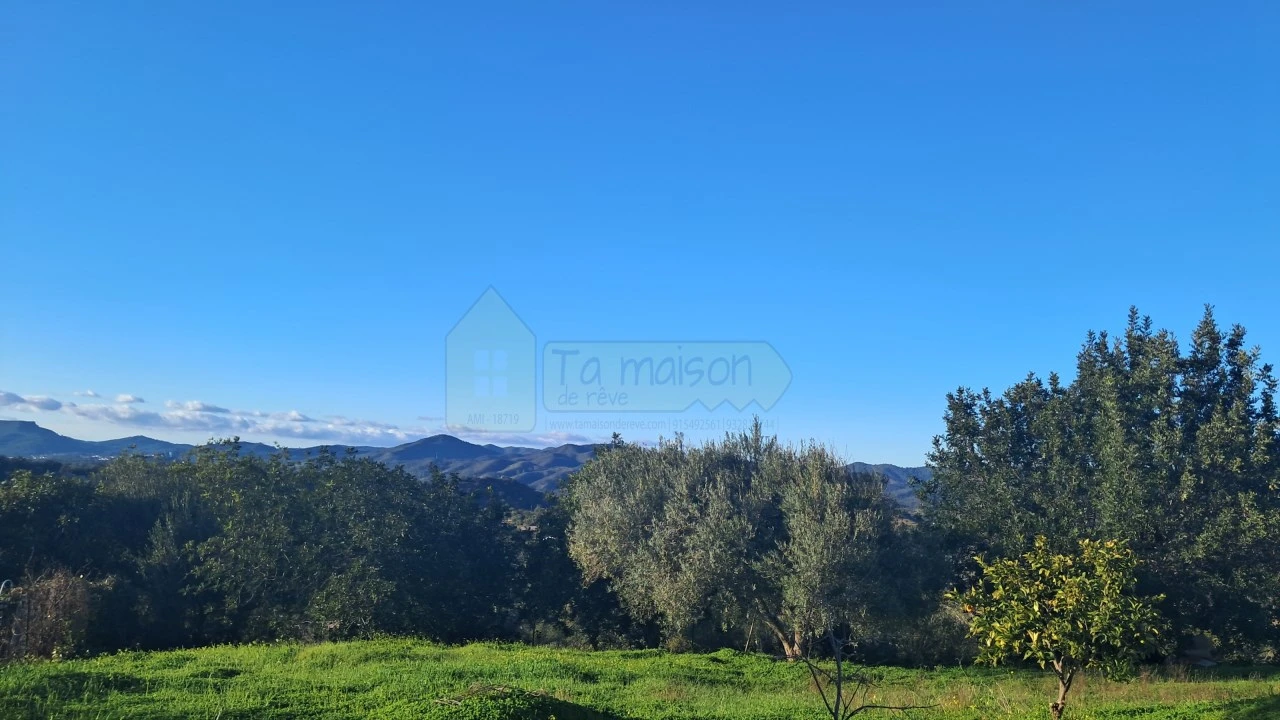 Moradia T2 para Venda em Querença, Tôr e Benafim Foto 7