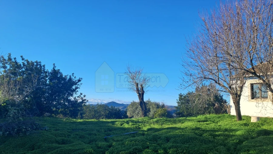 Moradia T2 para Venda em Querença, Tôr e Benafim Foto 8