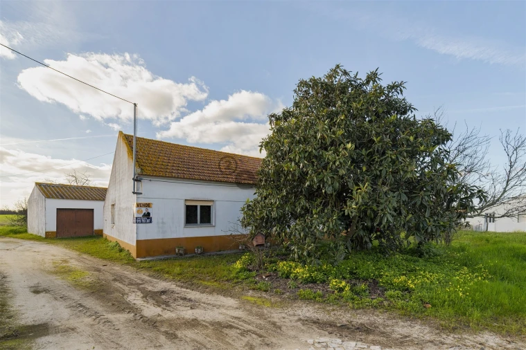 Moradia T3 para Venda em Canha Foto 3