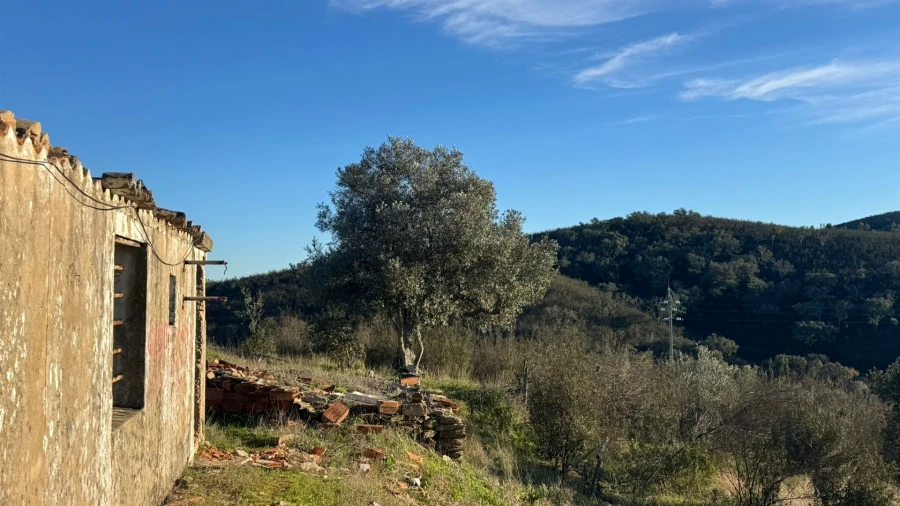 Moradia T2 para Venda em Santana da Serra Foto 5