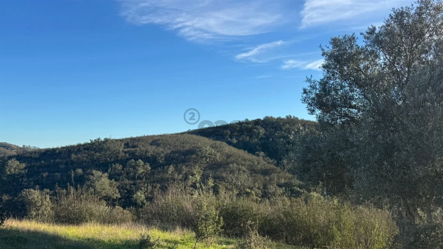 Moradia T2 para Venda em Santana da Serra Foto 8