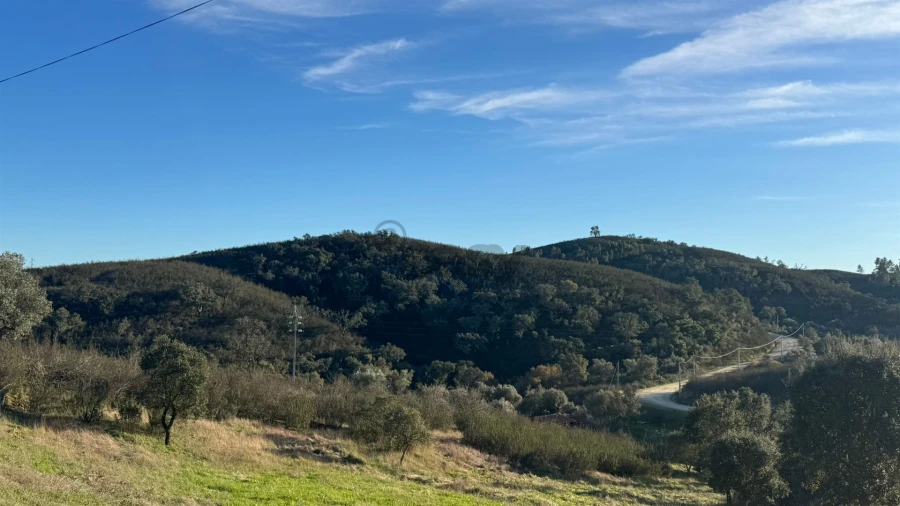 Moradia T2 para Venda em Santana da Serra Foto 3