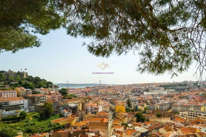 Apartamento T3 para Venda em Penha de França