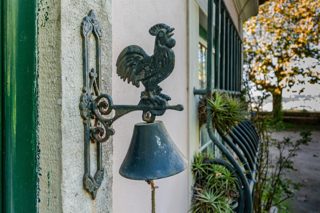 Quinta T10 para Venda em Santa Maria e São Miguel, São Martinho, São Pedro Penaferrim Foto 30