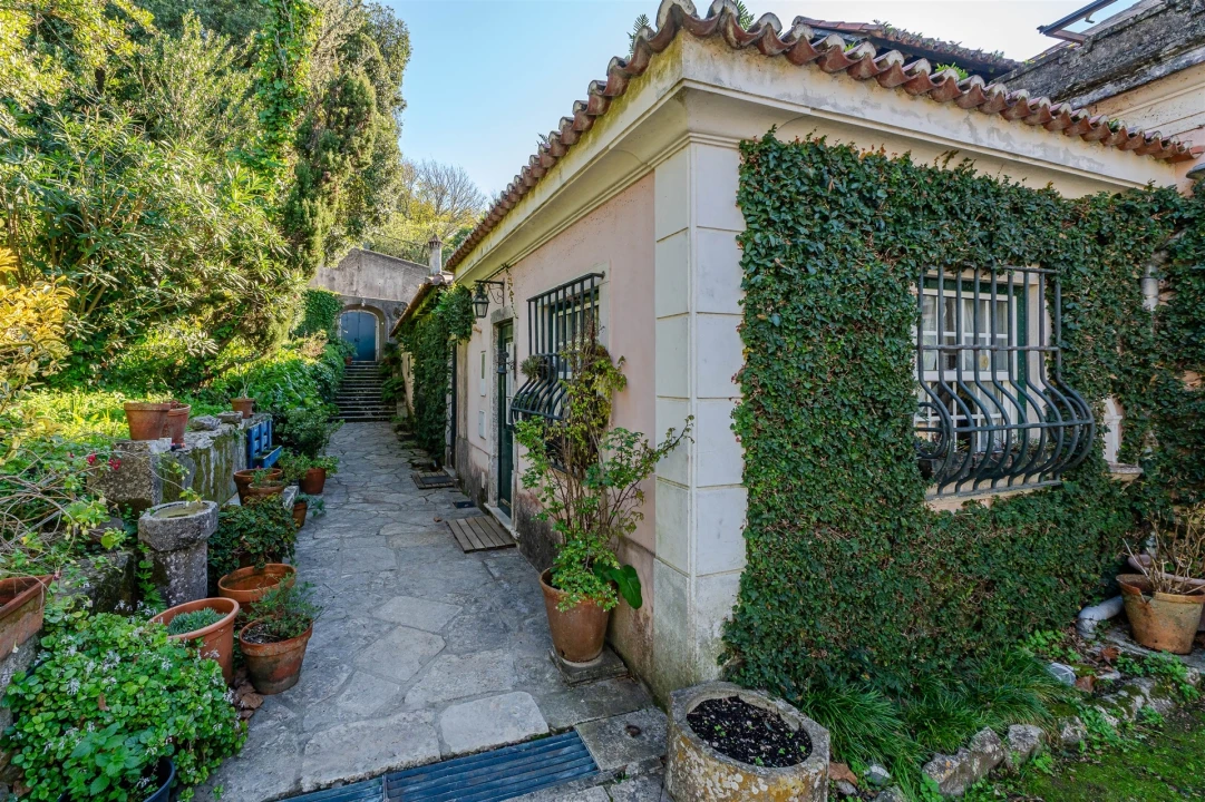 Quinta T10 para Venda em Santa Maria e São Miguel, São Martinho, São Pedro Penaferrim Foto 26