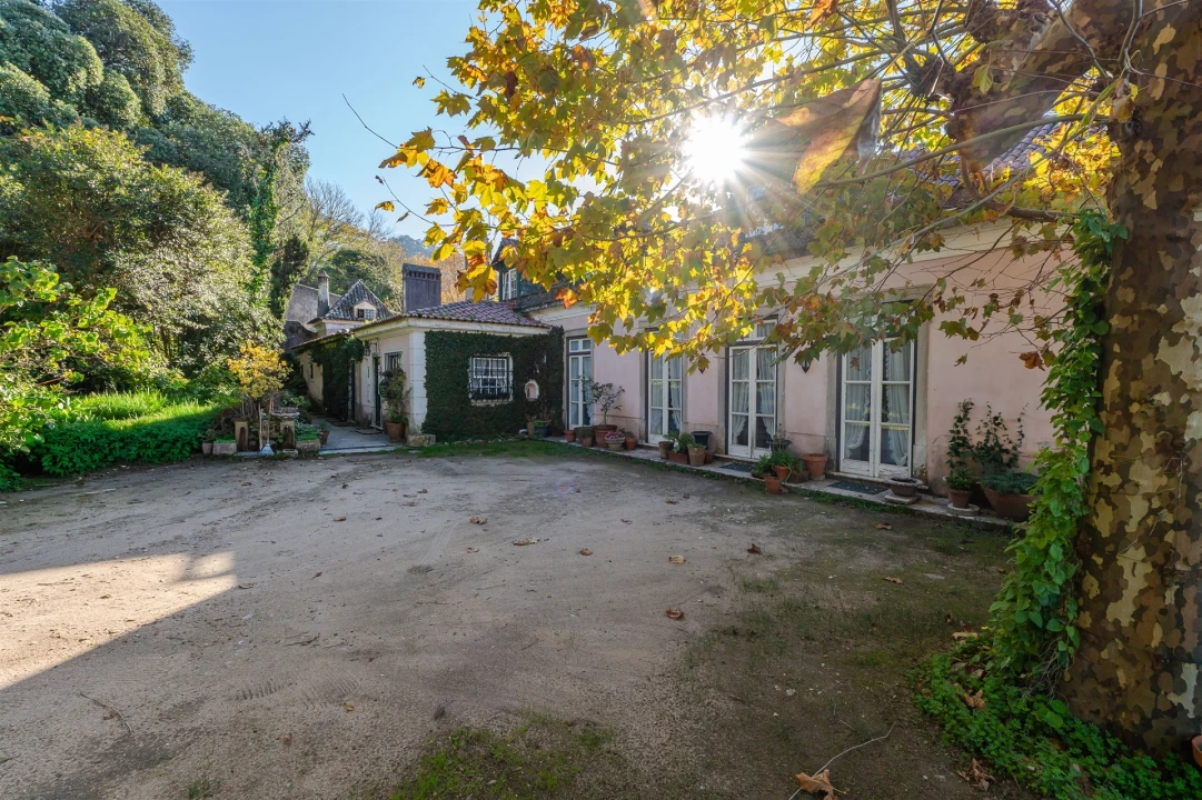 Quinta T10 para Venda em Santa Maria e São Miguel, São Martinho, São Pedro Penaferrim Foto 25