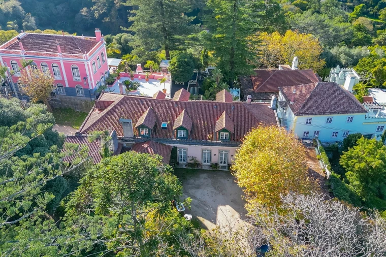 Quinta T10 para Venda em Santa Maria e São Miguel, São Martinho, São Pedro Penaferrim Foto 7
