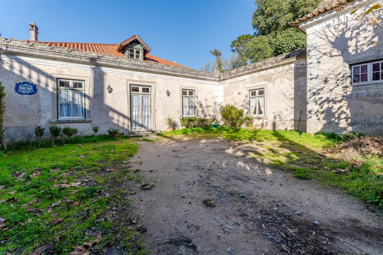 Quinta T10 para Venda em Santa Maria e São Miguel, São Martinho, São Pedro Penaferrim Foto 31