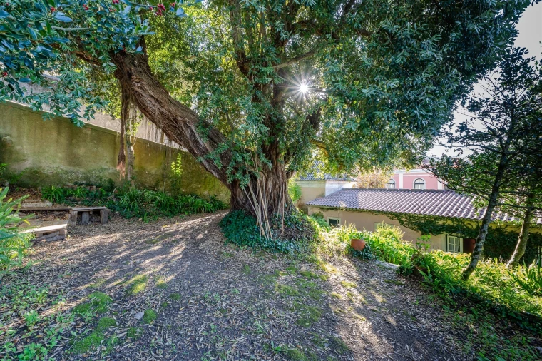 Quinta T10 para Venda em Santa Maria e São Miguel, São Martinho, São Pedro Penaferrim Foto 28