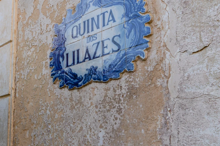 Quinta T10 para Venda em Santa Maria e São Miguel, São Martinho, São Pedro Penaferrim Foto 32