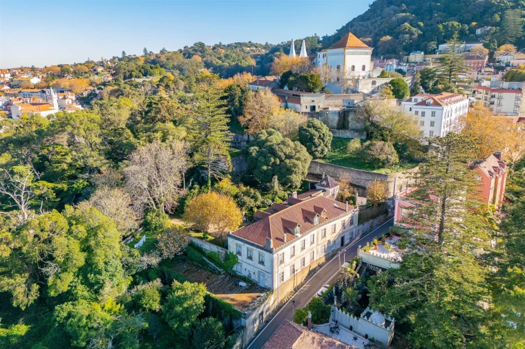 Quinta T10 para Venda em Santa Maria e São Miguel, São Martinho, São Pedro Penaferrim Foto 9