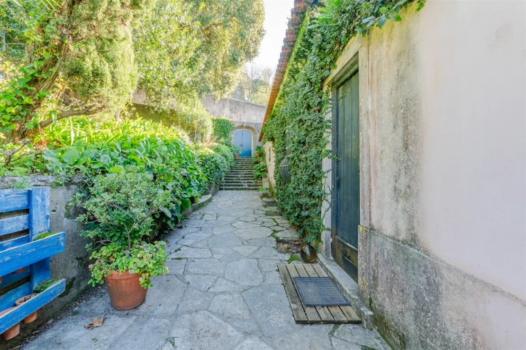 Quinta T10 para Venda em Santa Maria e São Miguel, São Martinho, São Pedro Penaferrim Foto 23