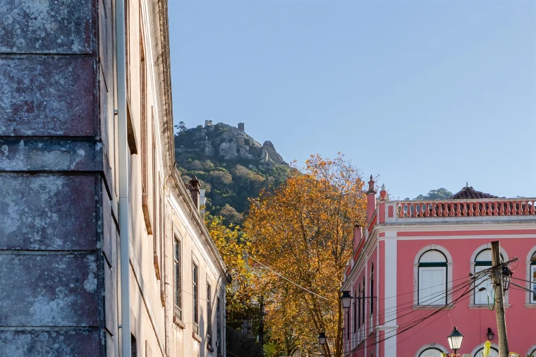 Quinta T10 para Venda em Santa Maria e São Miguel, São Martinho, São Pedro Penaferrim Foto 43
