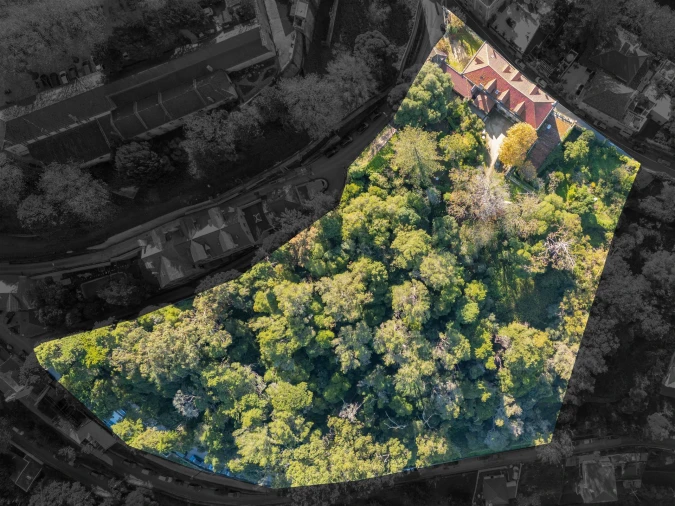 Quinta T10 para Venda em Santa Maria e São Miguel, São Martinho, São Pedro Penaferrim Foto 3