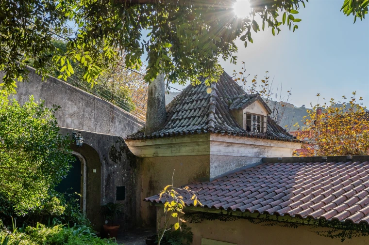 Quinta T10 para Venda em Santa Maria e São Miguel, São Martinho, São Pedro Penaferrim Foto 29