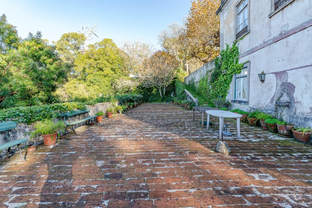 Quinta T10 para Venda em Santa Maria e São Miguel, São Martinho, São Pedro Penaferrim Foto 40