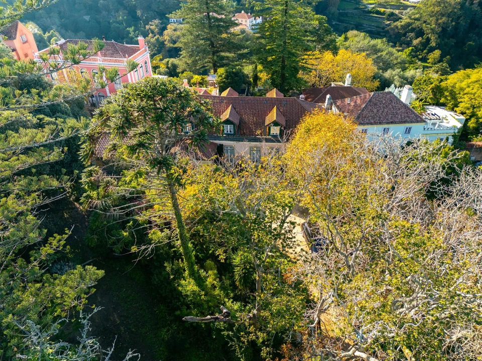 Quinta T10 para Venda em Santa Maria e São Miguel, São Martinho, São Pedro Penaferrim Foto 6