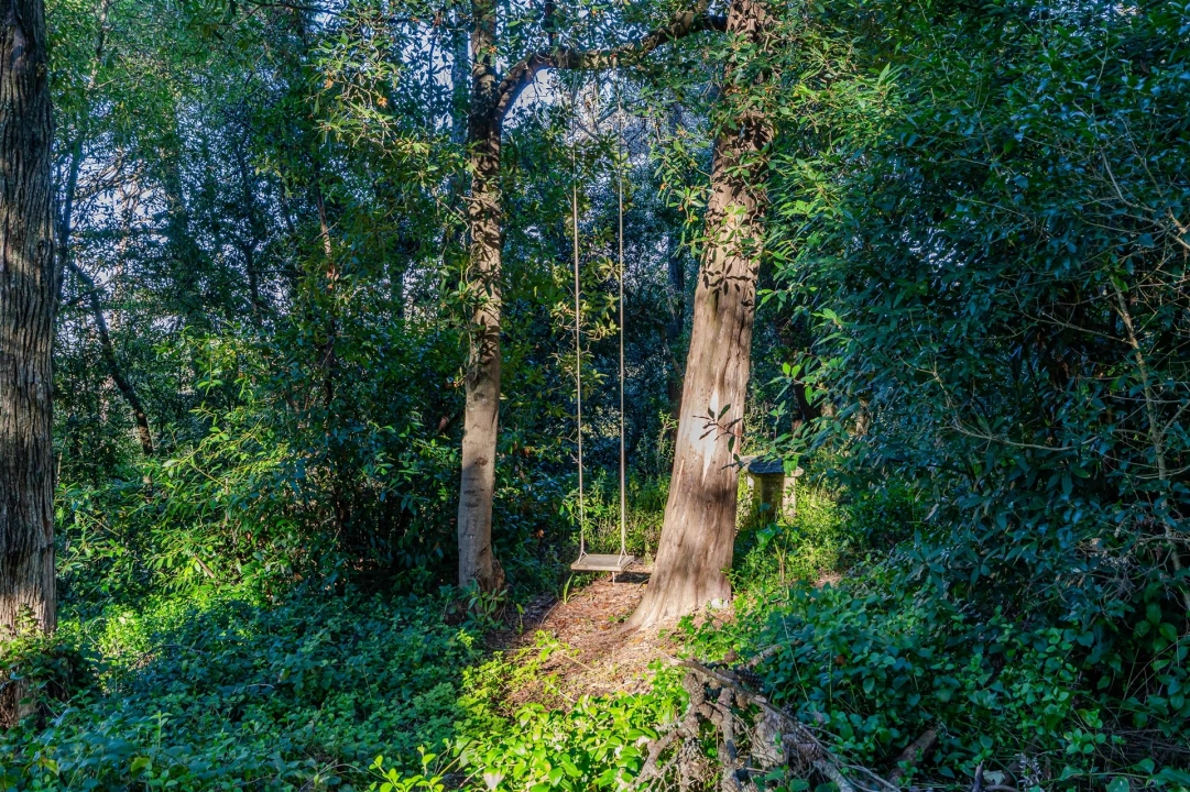 Quinta T10 para Venda em Santa Maria e São Miguel, São Martinho, São Pedro Penaferrim Foto 44