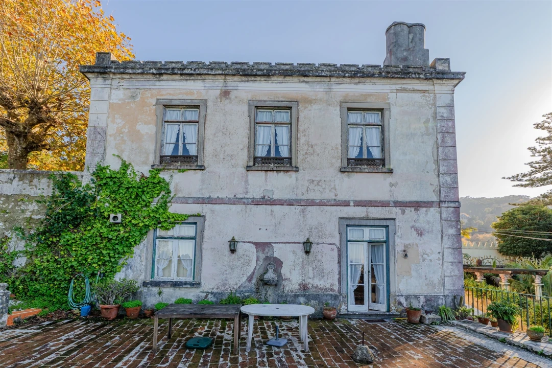 Quinta T10 para Venda em Santa Maria e São Miguel, São Martinho, São Pedro Penaferrim Foto 42