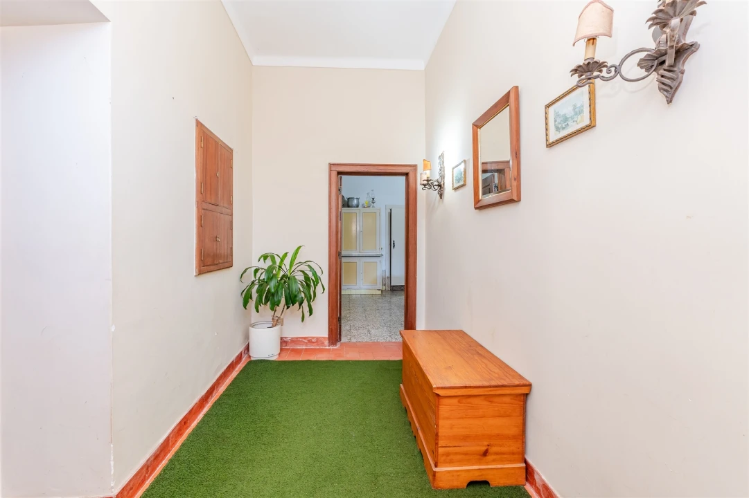 Quinta T10 para Venda em Santa Maria e São Miguel, São Martinho, São Pedro Penaferrim Foto 36