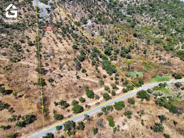 Terreno para Venda em Espírito Santo, Nossa Senhora da Graça e São Simão