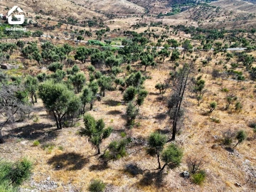 Terreno para Venda em Espírito Santo, Nossa Senhora da Graça e São Simão