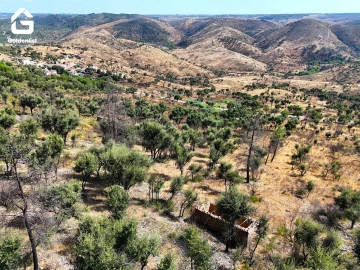 Terreno para Venda em Espírito Santo, Nossa Senhora da Graça e São Simão