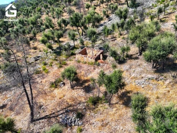 Terreno para Venda em Espírito Santo, Nossa Senhora da Graça e São Simão