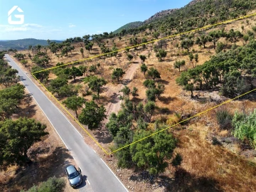Terreno para Venda em Espírito Santo, Nossa Senhora da Graça e São Simão