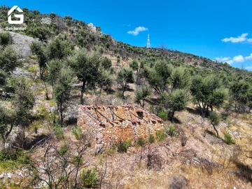 Terreno para Venda em Espírito Santo, Nossa Senhora da Graça e São Simão
